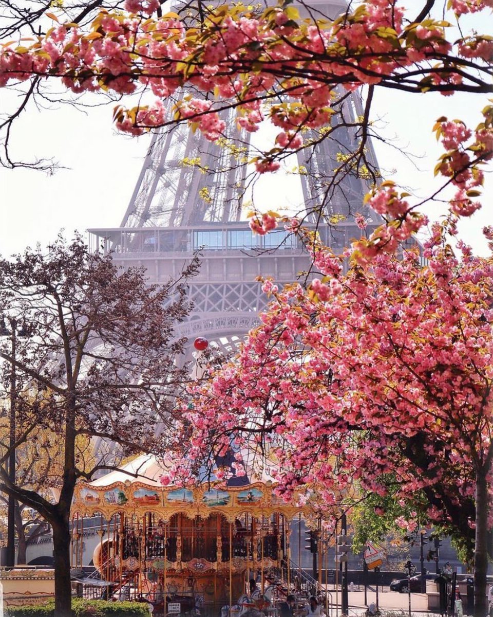 Paris, France #paris #france #photography #toureiffel #travel #destinations