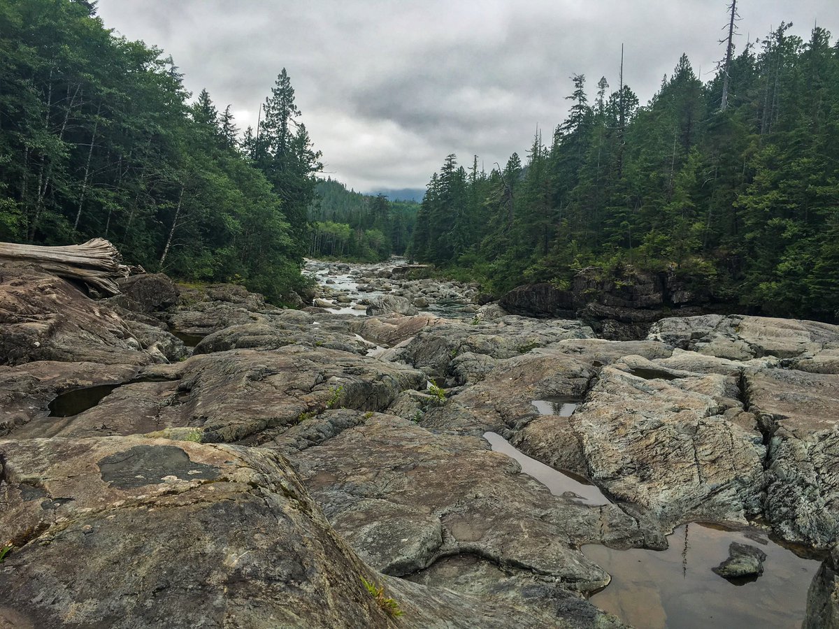 On the way to better places. 
#explorebc #NaturePhotography