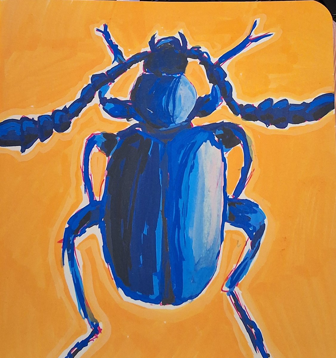 I drew another beetle