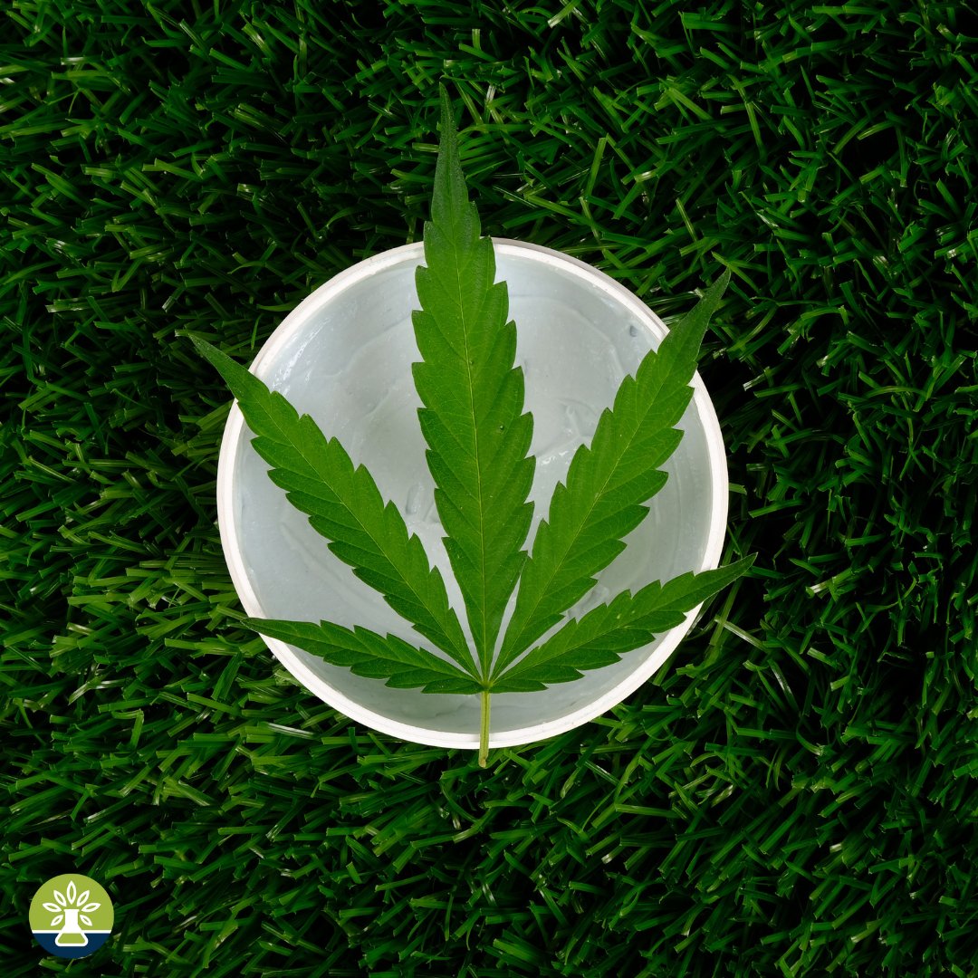 Nature's imprint: A cannabis leaf rests in harmony with the green expanse.

#MoCannTesting #CannabisTesting #TrustedLab!