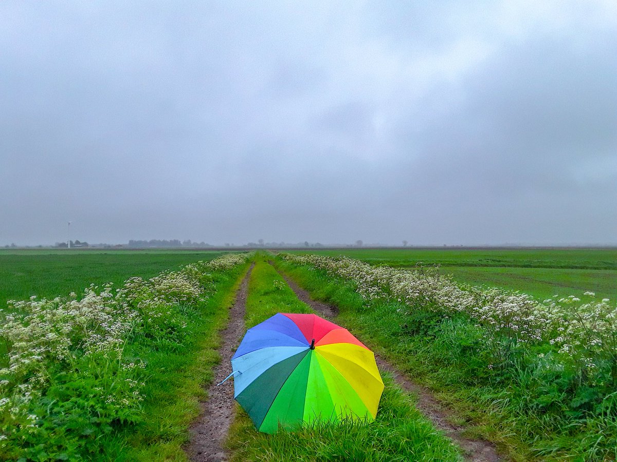 What a difference a day makes, wet and cold on my walk in the Fens this morning @WeatherAisling @itvanglia @metoffice #LoveUKWeather