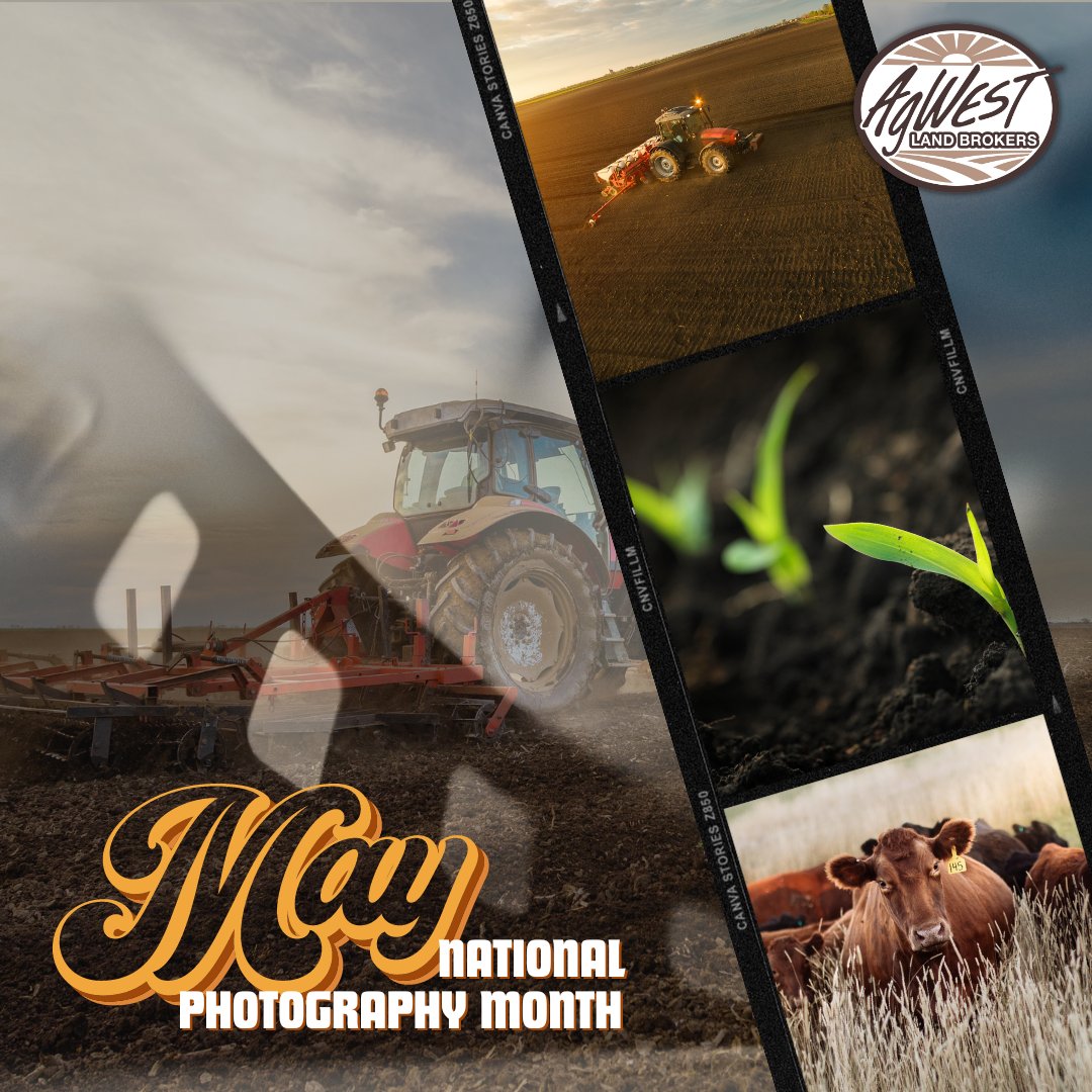 May is National Photography Month! 📷
To mark the occasion, we will be highlighting photos from our land agents throughout the month. Be sure to check back and see what photo masterpieces they've taken.

#photoofthedayday #agwestlandbrokers #NationalPhotographyMonth #farmphotos