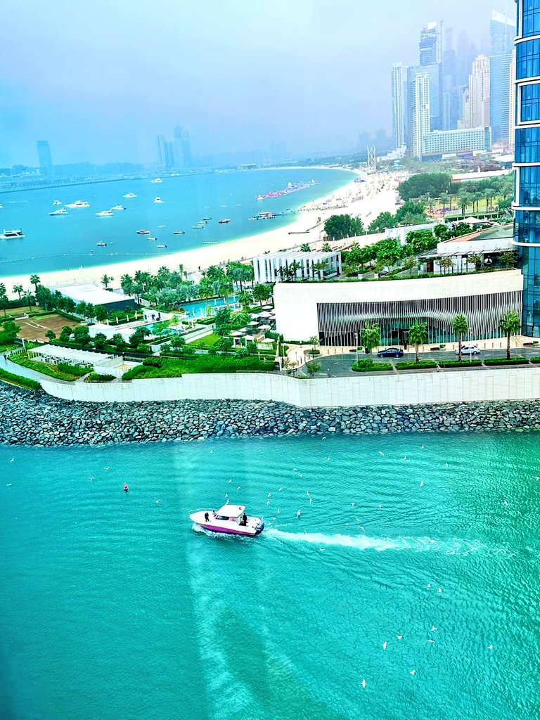 Beautiful view 🇦🇪🏙️🥰🇦🇪🇦🇪🇦🇪 UAE lovers ❤️✅🌴🥰🇦🇪 DXB #dubhai #MOONLIGHTOutNow #cbseresults2024 #