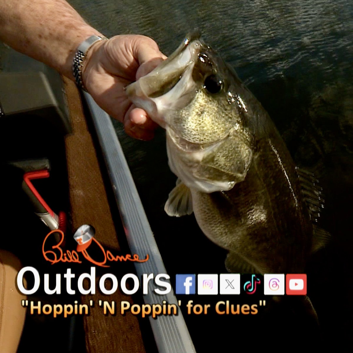 Bill_Dance1's tweet image. It doesn't matter where we go, someone always has a fishin' question! This week we try and answer some commonly asked ones from our fans.  Airtimes: Saturday at 6:00am and Sunday at 10:30am. All times Eastern on Outdoor 

#GoBoldly
#MercuryPartner
@MercuryMarine