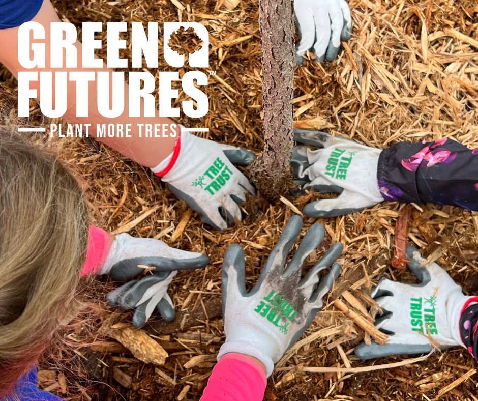 Give the gift of trees! Support Tree Trust's #GreenFutures, Today! 

Together, we'll transform neighborhoods, build stronger communities, and make our planet a greener, more vibrant home.  🌳

👉givebutter.com/Auo6fl

#plantmoretrees #trees