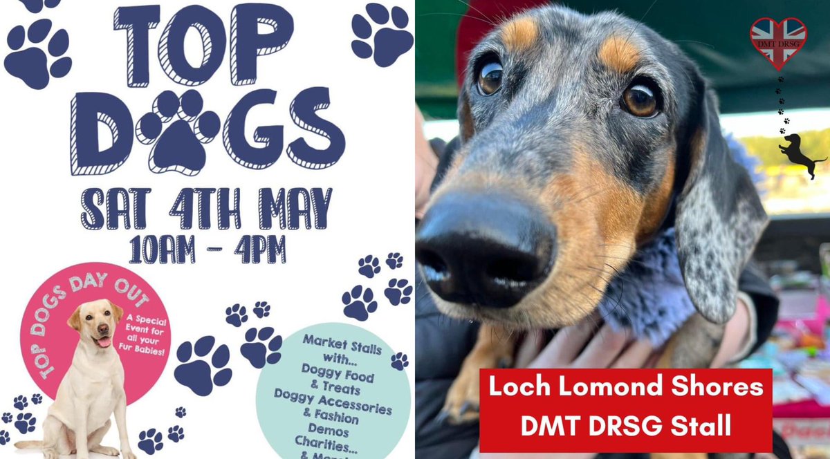 Looking for weekend plans?? TOP DOGS is at Loch Lomond shores this Saturday and features a dog show, doggy themed market, food, drink AND the DMT DRSG stall 🥳🥳🥳 we will be there raising pennies for flight funds. The weather looks promising ☀️ so come and see us! 🫶🏻