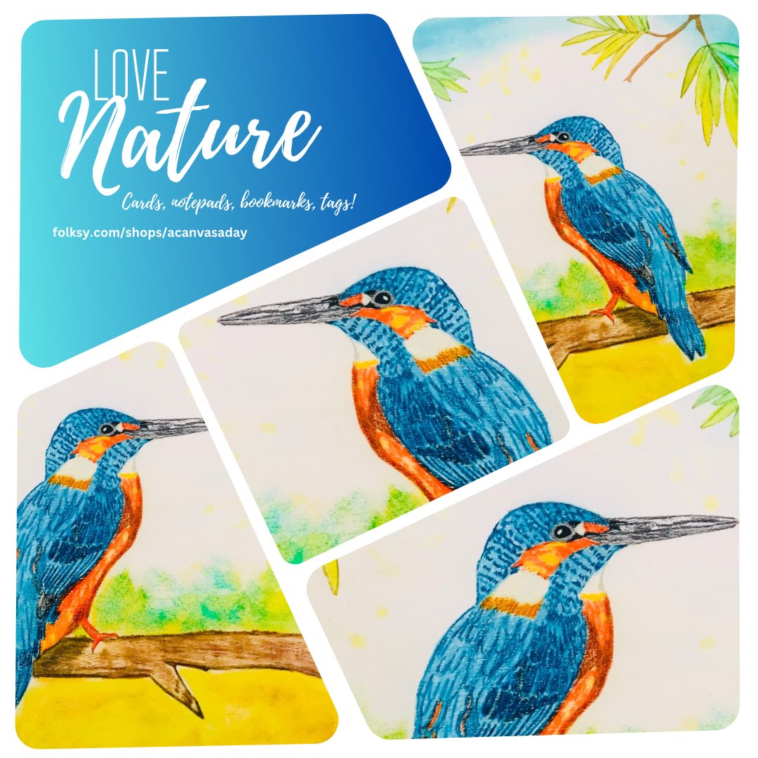 🪺💕🪺𝙈𝙮 𝙛𝙖𝙫𝙤𝙪𝙧𝙞𝙩𝙚 𝙨𝙢𝙖𝙡𝙡 𝙗𝙞𝙧𝙙! 🪺💕🪺

Did you know the kingfisher uses 'structural colouration' to turn its ordinary brown feathers into the gorgeous colourful plumage we see!

𝘾𝙖𝙧𝙙𝙨, 𝙣𝙤𝙩𝙚𝙥𝙖𝙙𝙨, 𝙗𝙤𝙤𝙠𝙢𝙖𝙧𝙠𝙨 𝙤𝙧 𝙩𝙖𝙜𝙨!

#MHHSBD