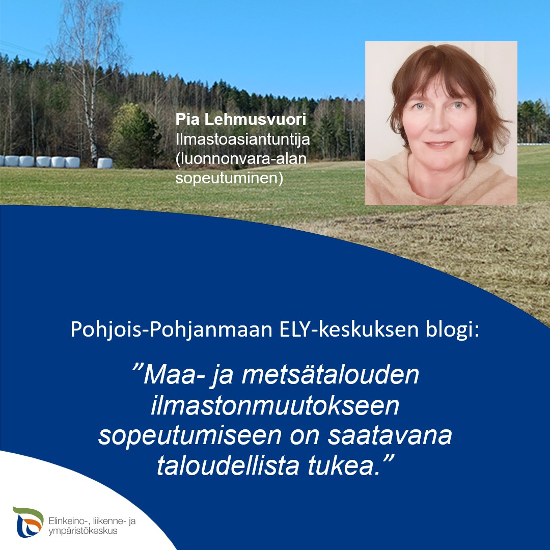 Valtakunnallisen ilmastoyksikön ilmastoasiantuntija Pia Lehmusvuori kertoo maa- ja metsätalouden ilmastonmuutokseen sopeutumiseen ja muutoksen hillintään tarjolla olevista keinoista ja tuista. ➡️ pohjoispohjanmaanely.blog/2024/05/03/maa… #ELYkeskus #ilmasto #maatalous #metsätalous #rahoitus