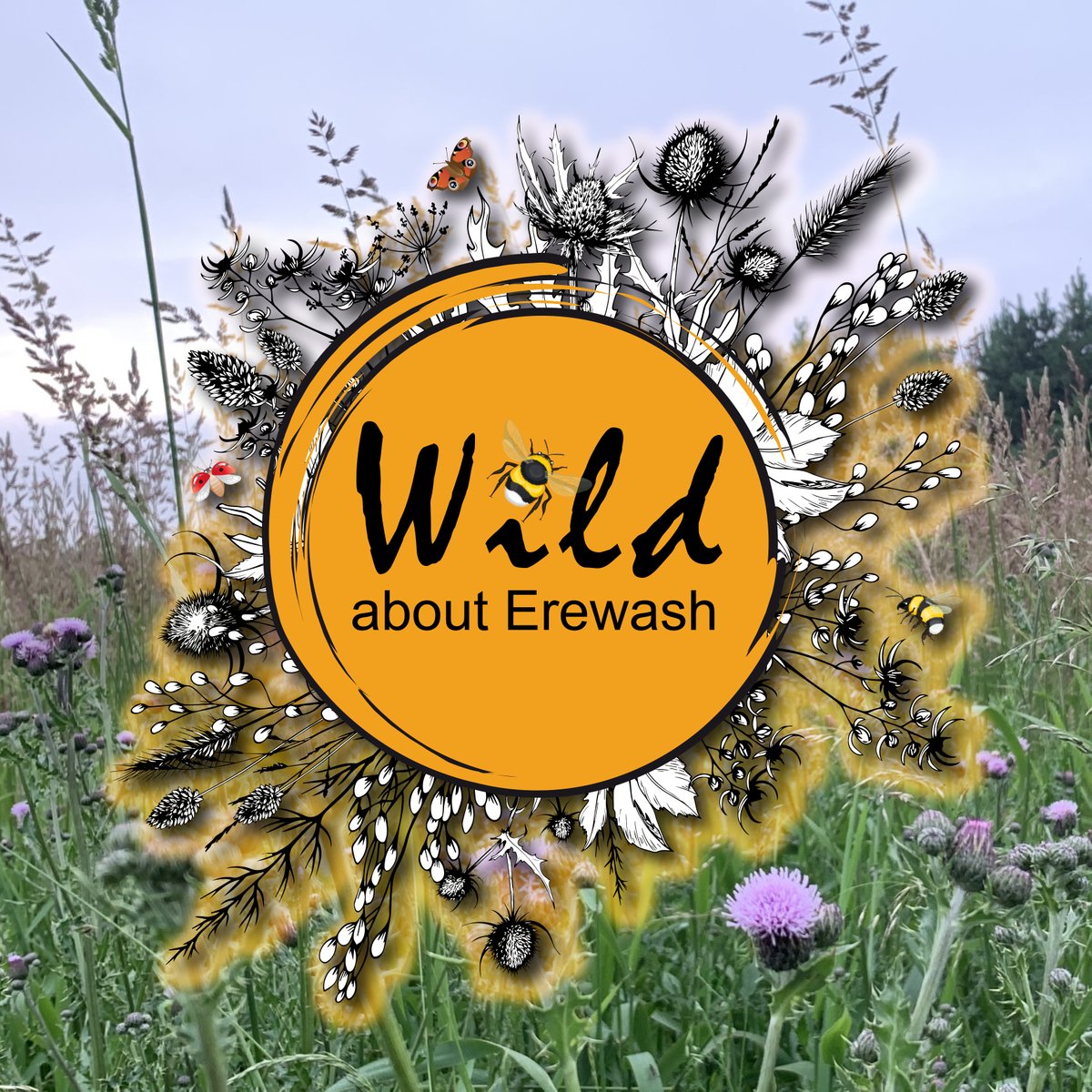 A new campaign by Erewash Borough Council aims to benefit people’s health and wellbeing, improve biodiversity in the borough, and reduce the authority’s carbon footprint across its 100-plus parks and open spaces.

The mission to be more environmentally friendly is called “Wild…
