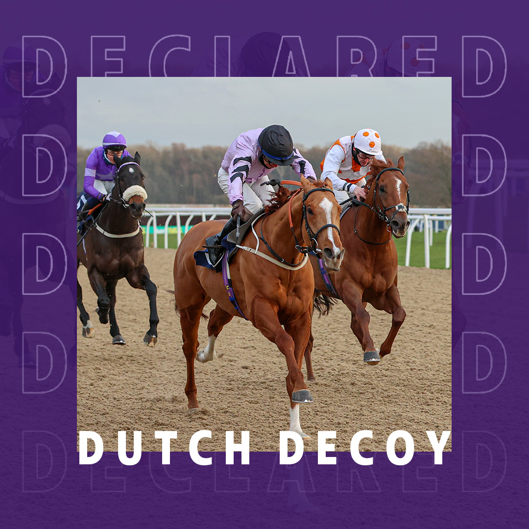 Dutch Decoy takes his place in the Suffolk Stakes (2.20) today at Newmarket's QIPCO Guineas Festival, where he finished 5th last year. Joe Fanning rides for trainer Charlie Johnston 🏇🤞 #DutchDecoy #OwnersGroup