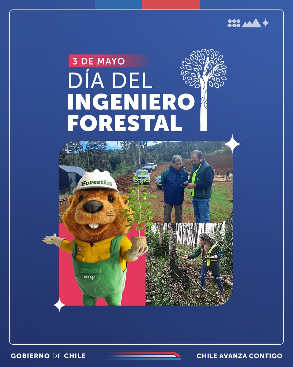 🗓️Hoy 3 de mayo celebramos el Día de las y los Ingenieros Forestales. 👉Saludamos y a cada trabajador y trabajador de nuestra #CONAF que abrazan esta noble profesión, destacando su labor en la gestión, conservación, protección y restauración de los recursos naturales renovables.