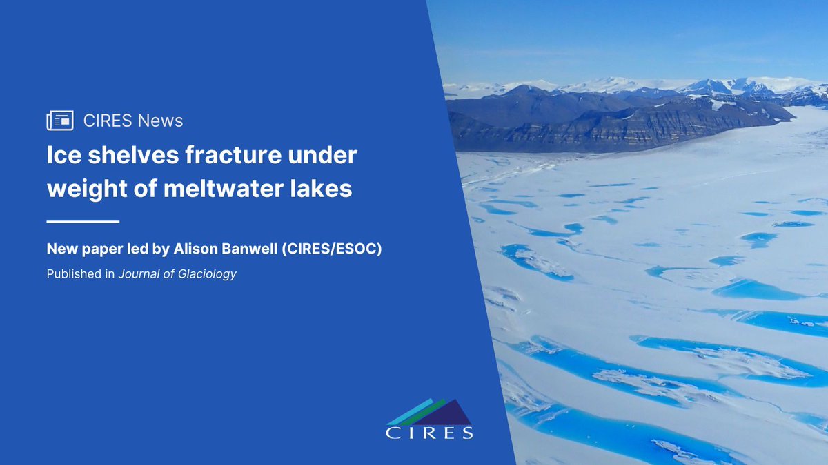 Ice shelves don’t just buckle under the weight of meltwater lakes—they fracture, according to new work led by CIRES' @AliBanwell. As the climate warms and melt rates in Antarctica increase, this fracturing could cause vulnerable ice shelves to collapse. cires.colorado.edu/news/ice-shelv…