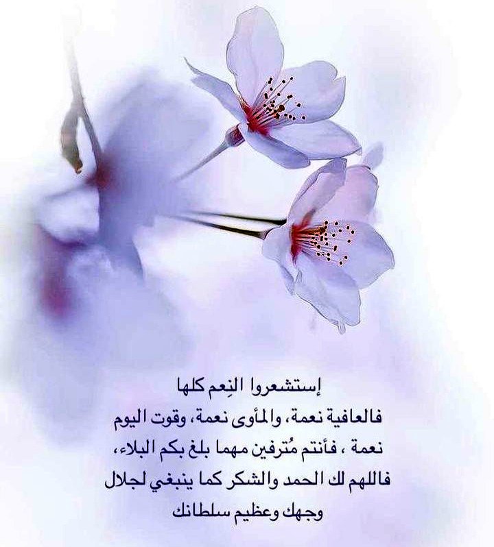 #يوم_Iلجمعه 🪻 #جمعة_مباركة