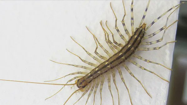 Kate Haddad tweet media