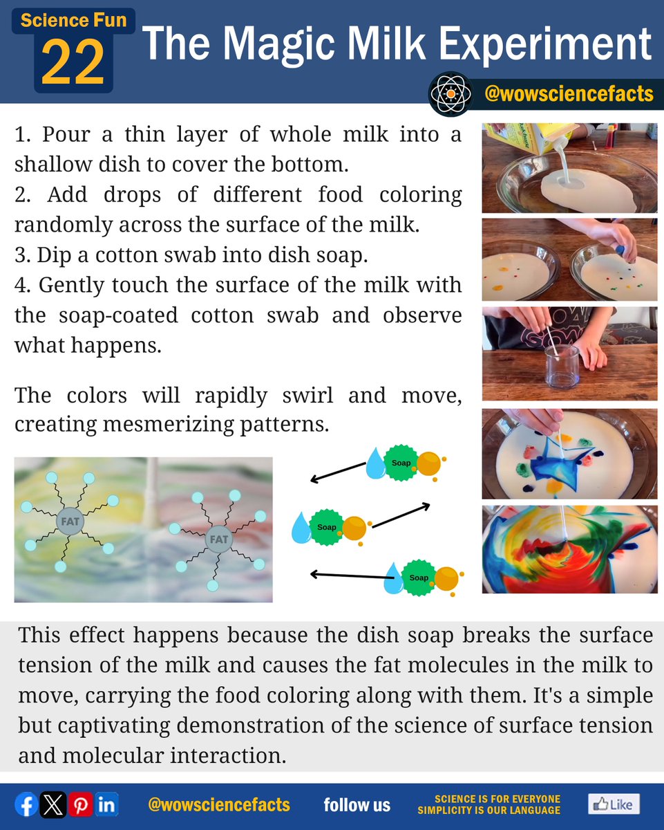 The Magic Milk Experiment.
𝐌𝐨𝐫𝐞 𝐬𝐜𝐢𝐞𝐧𝐜𝐞 𝐚𝐫𝐭𝐢𝐜𝐥𝐞𝐬 𝐟𝐫𝐨𝐦: 👇
wowsciencefacts.com
#easyscience #funscience #magicmilk #surfacetension #milkfat #foodcoloring #dishsoap #science #scienceexperiment #sciencehumor #scienceandtechnology #ScienceForKids