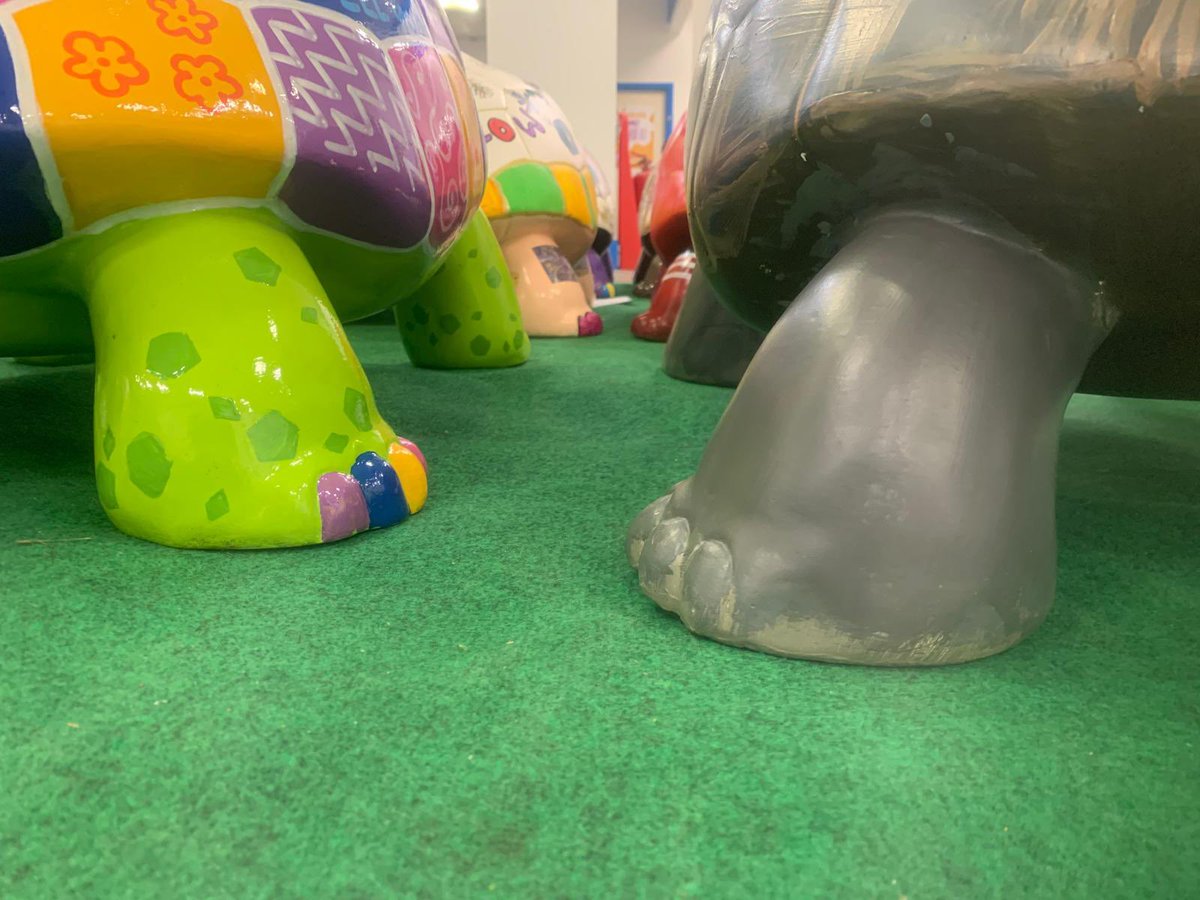 An exciting day for the @ShortTailTrail welcoming back all the baby sculptures, the creativity is outstanding and we can’t wait for them to be out this summer on the @ShortTailTrail @KeechHospice @wildinart