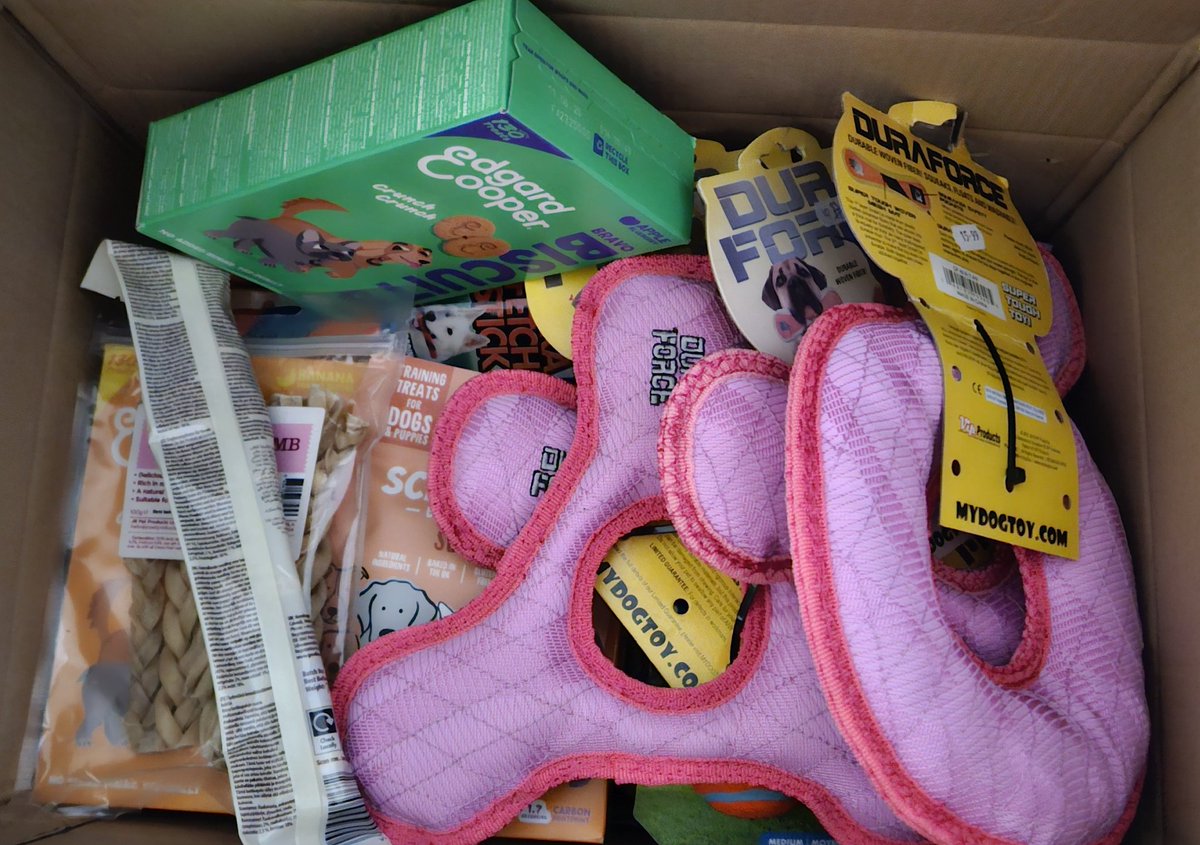 THANK YOU🏅to @bemorebob2 We get so excited when we receive a 📦 with a boop off BOB! Thank you so much to all the pals of Bob & Bob himself💙 for the extremely generous box of goodies donated for our forthcoming dog show & other fundraising items. You are an amazing support❤️