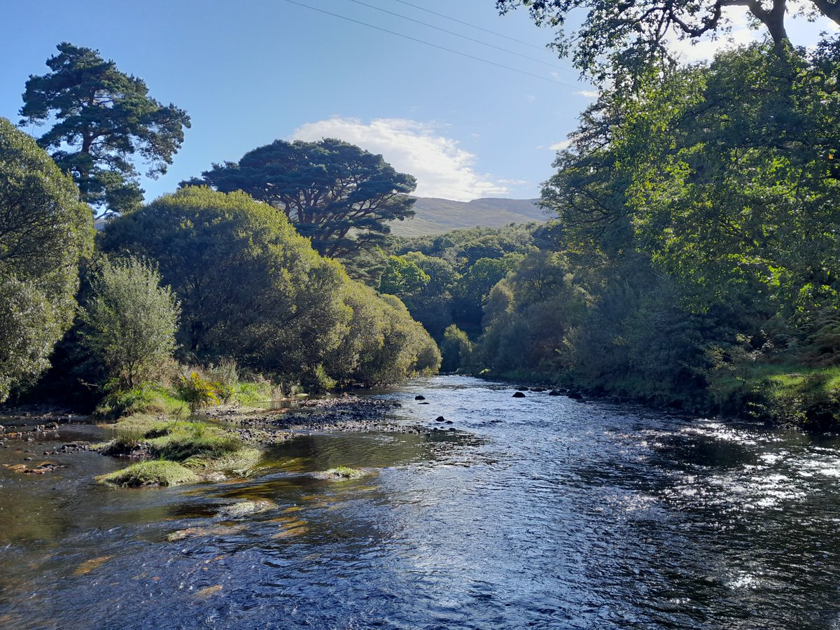 Need a new job or a career working in #Ireland's great outdoors ❓ 🤝 We’re recruiting for Research Officer, Research Technician, and 7 Fisheries Officer roles. Apply here: tinyurl.com/ybtx4hjf