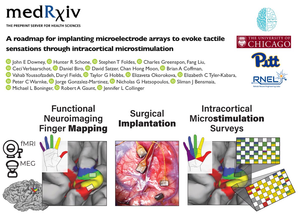 After 10 years of implanting Utah Arrays in 5 participants with spinal cord injuries… we provide a methodological roadmap to target and evoke tactile finger sensations using intracortical microstimulation. @John_E_Downey @robert_gaunt1 @jenpgh tinyurl.com/S1roadmap 🧵1/7