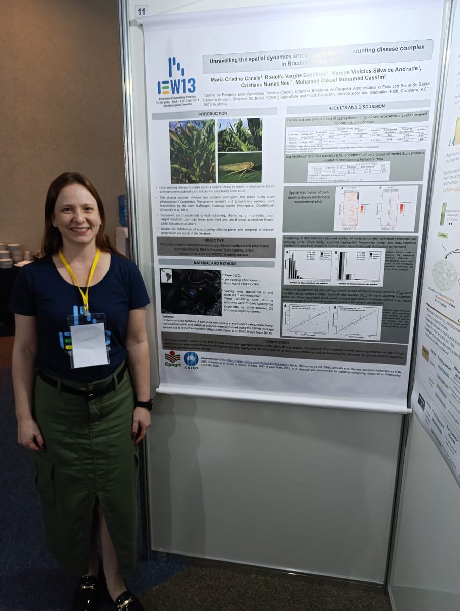 I had the opportunity to present our research on corn stunt complex at the #IEW13 in Foz do Iguassu. @EpagriOficial