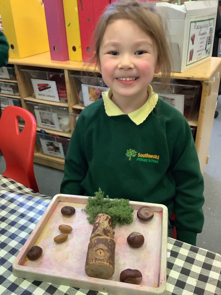 #EYFS have enjoyed immersing themselves in the story ‘We're Going On A Bear Hunt’ by Michael Rosen. Inspired by the #book, they recreated the forest scene using #natural materials. 🐻📚 #Literacy #Reading