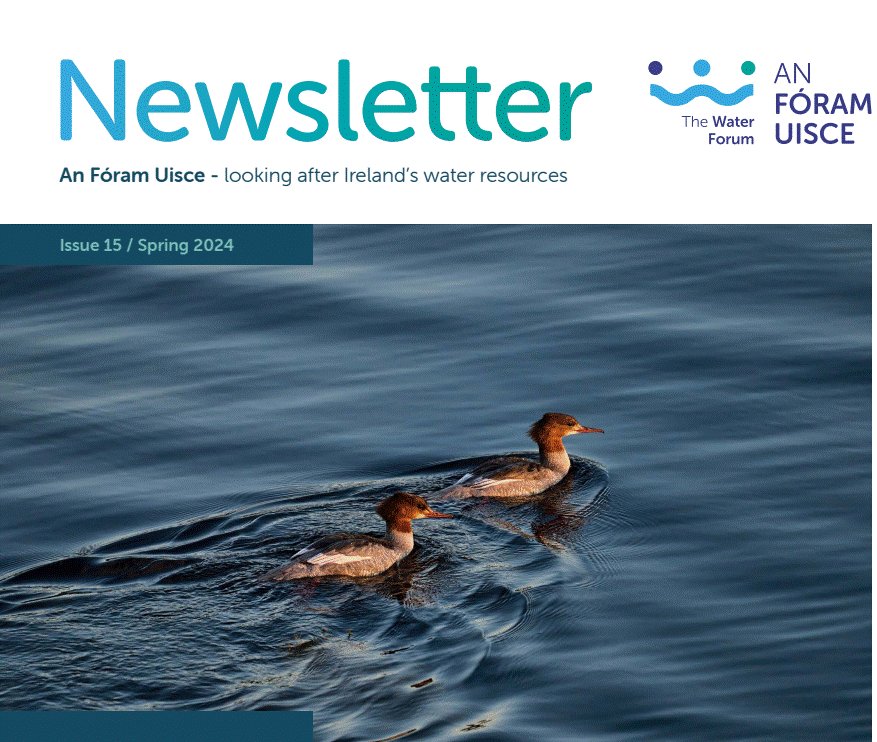 Our Spring 2024 Newsletter is out. Find out about our new members, policy and research updates. thewaterforum.ie/water-forum-ne… @nfgws @IrishWater @Independent_ie @WatersProgramme @BlueDotWaters @EUWatersofLIFE @EPACatchments @DeptHousingIRL