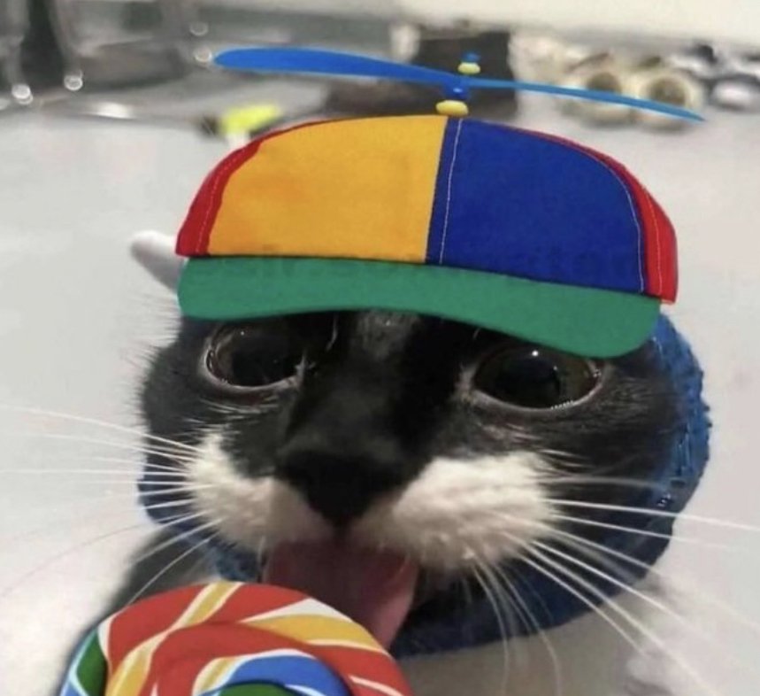 h1ddenscript's tweet image. Me today