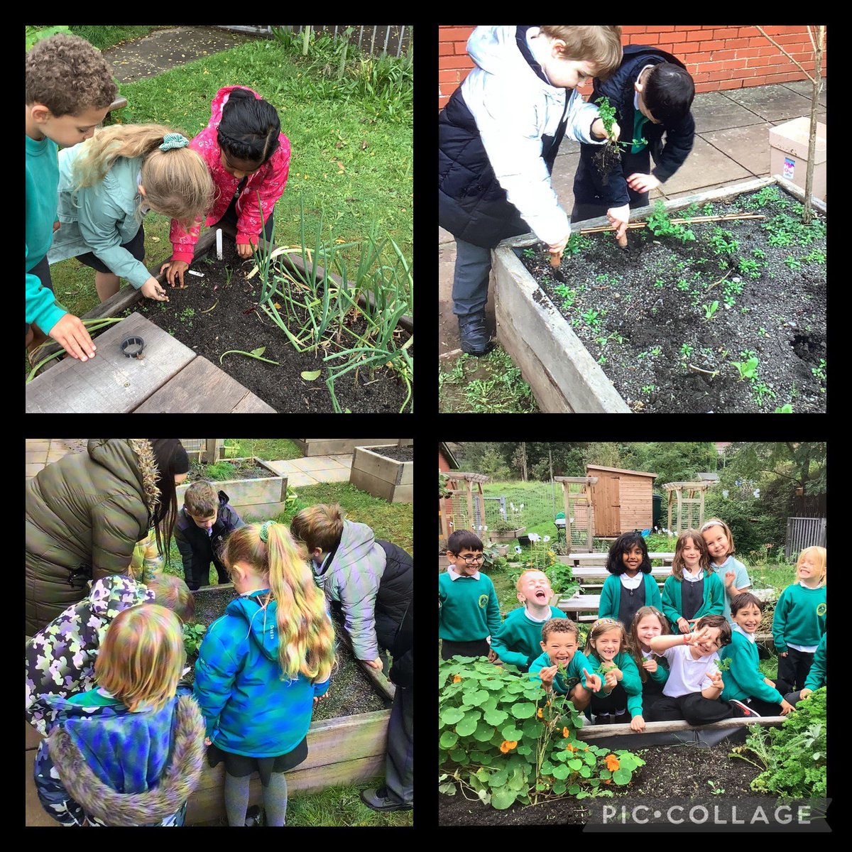 Year 2 Thornhill tweet media
