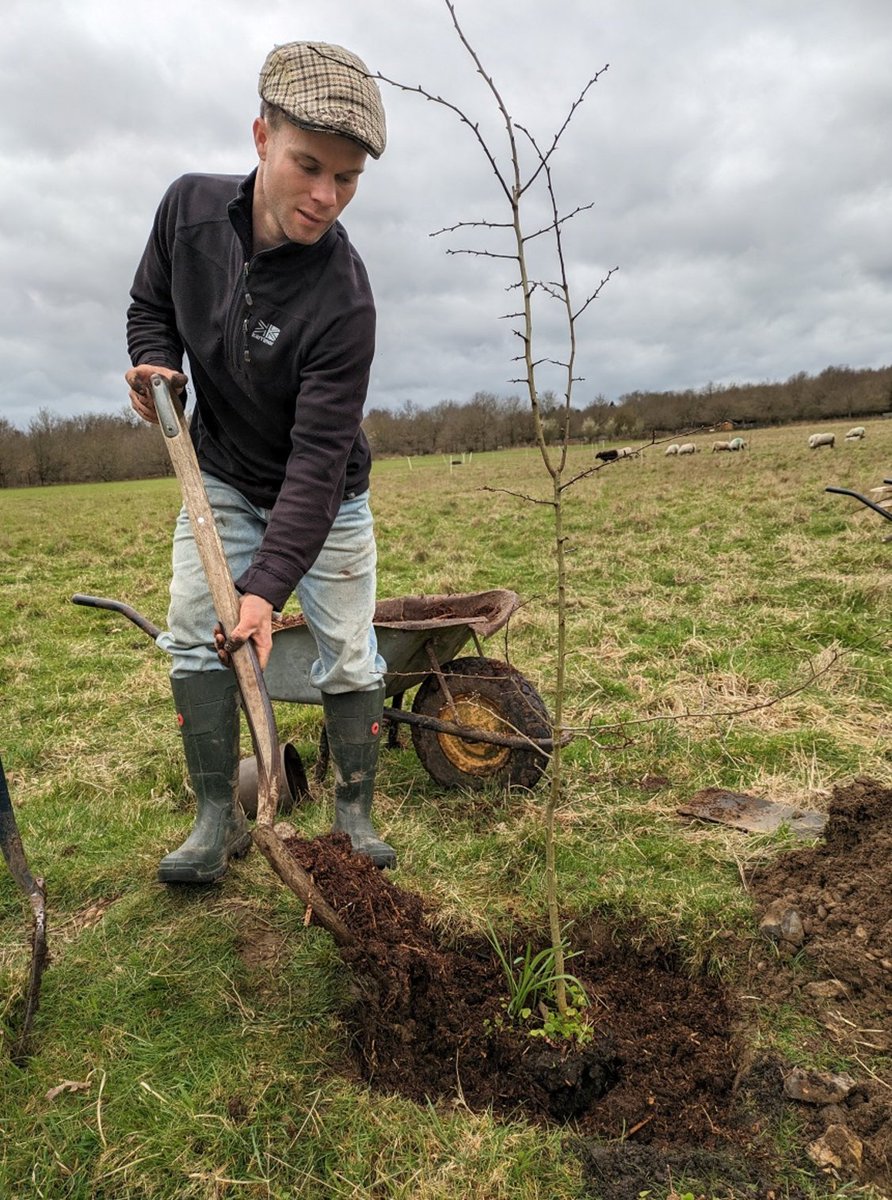 Our recent Partners in Action online hub event focused on all things trees 🌲​with some of our partners even getting out to do some planting despite the rain 🌦️​ Meeting together to share learning and inspiration helps us to take action for nature, together 🌍