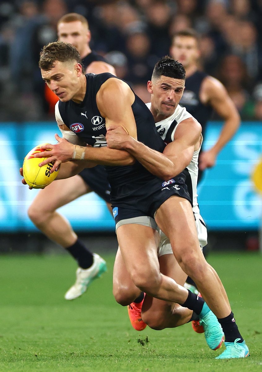 Navy Blue Corner tweet media