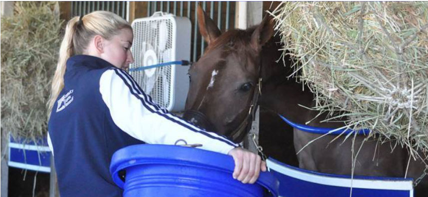 Benefits of Beet Pulp for Horses tinyurl.com/4wj3yax9 courtesy of Kentucky Equine Research #horsehealth #equine #horsefeed