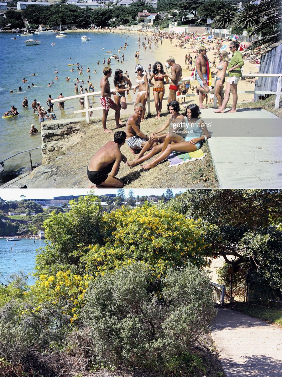 c1966-2024 Camp Cove. Original image Robin Smith. The access steps with metal rail to the left is still there (although the path below is incomplete) and has been replaced by a wooden staircase.
