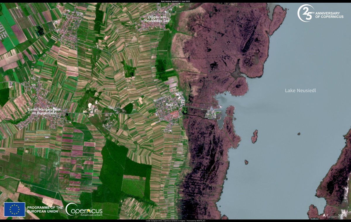 🌍 Big News! 🚀 Our latest article, ' Innovating land cover monitoring by complementing annual land cover maps with near real-time observations' is live! 

Read now: evo-land.eu/innovating-lan…

#LandCover #RemoteSensing #Innovation #EO