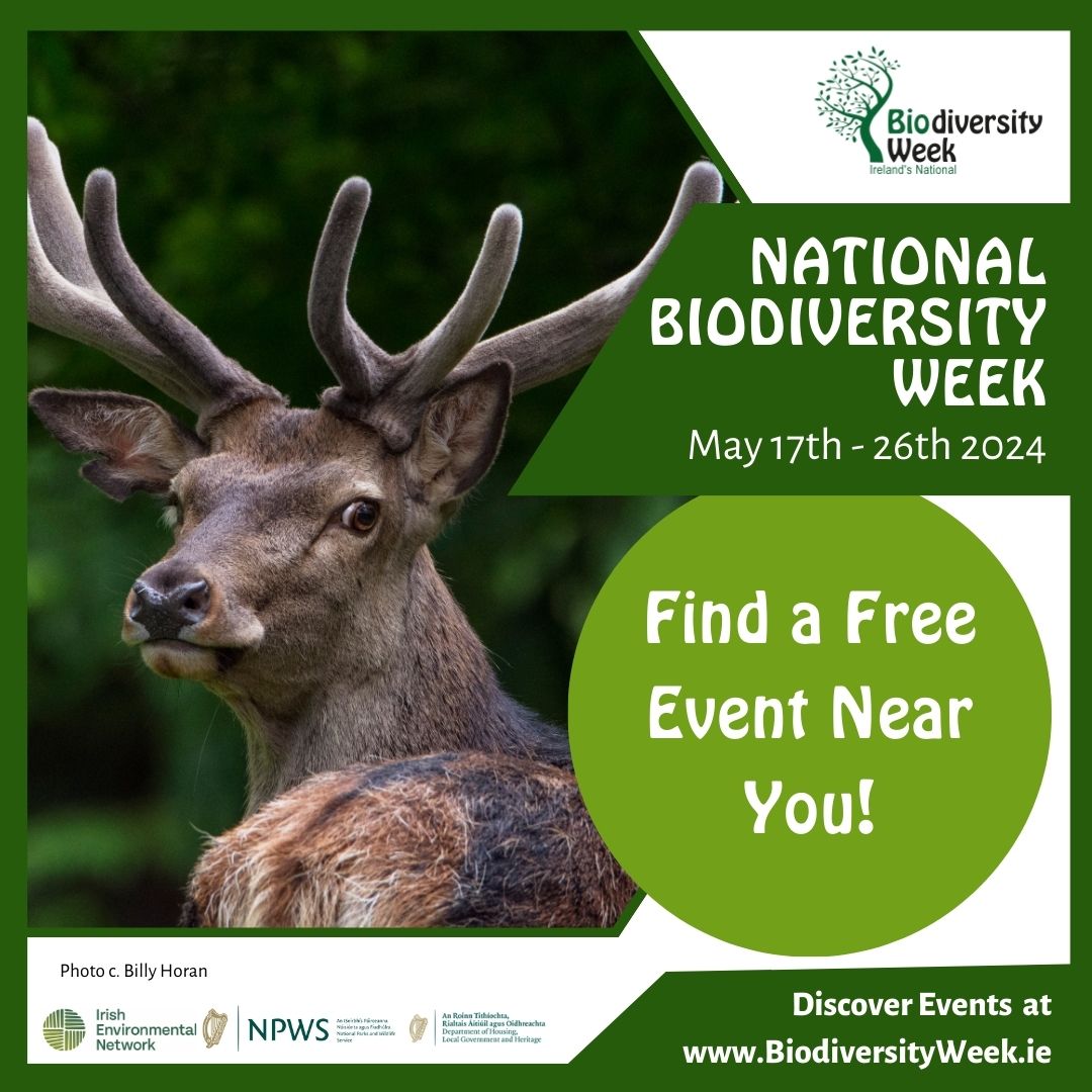 Find a Free Event near you for Biodiversity Week! Sort events by location or category on our calendar: biodiversityweek.ie/events-calenda…

Discover family friendly events, competitions, art exhibitions, workshops, community actions and more this #BiodiversityWeek2024! Book now!