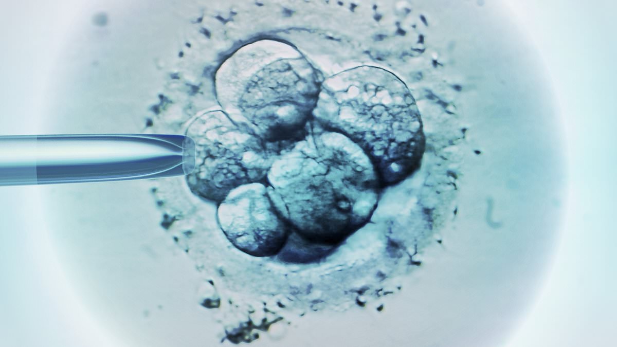 IVF babies at greater risk of leukaemia, study finds - but experts claim older, 'less fit' parents could be to blame trib.al/IJ0KUQG