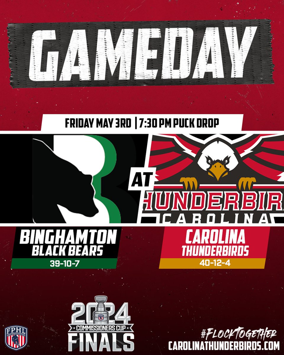 Game. One.

🆚: Binghamton Black Bears
🏟️: Fairgrounds Arena
🏆: Commissioners Cup Finals
⏰: 7:30 p.m. EDT
📺: Thunderbirds TV (YouTube)
📻: WTOB 980 AM

#flocktogether #unfinishedbusiness