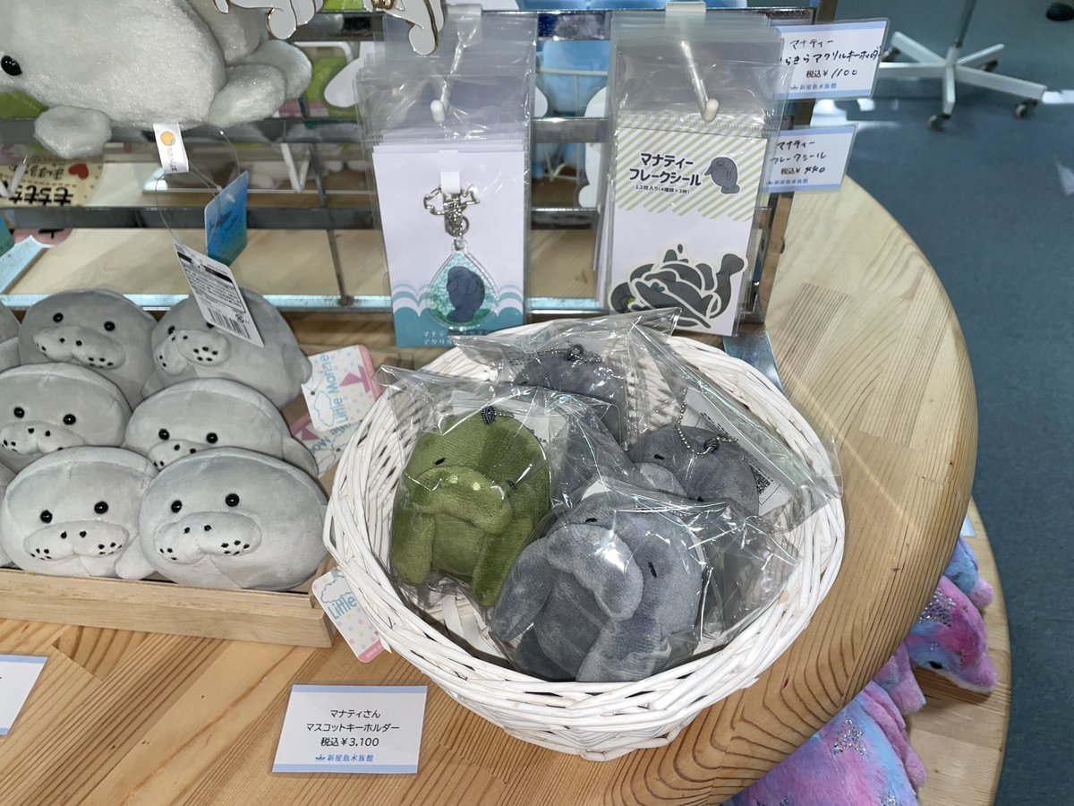 🧸売店情報🧸 マナティーグッズたくさん入荷しています💭 コケ
