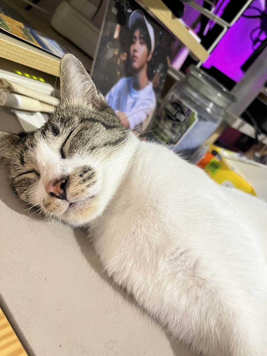 Nyenyak bgt u tidur ditemenin phonestand hanjisung