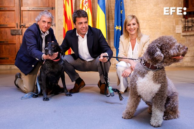 🐶🐈 La Generalitat refuerza las ayudas a la protección animal y buscará el 'abandono cero'