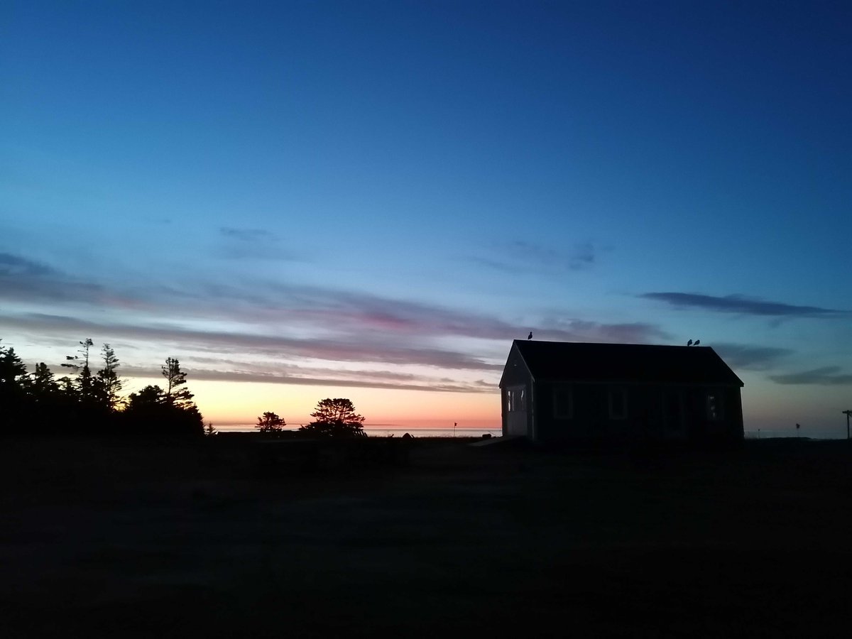 So happy to be back @BSSkentisland! Our field season is off to a fantastic start with lots of Savannah Sparrows on territory and many cold but beautiful sunrises! Our song meters are recording, the Savannah Sparrows are singing, and soon the nesting will begin! #fieldwork #birds