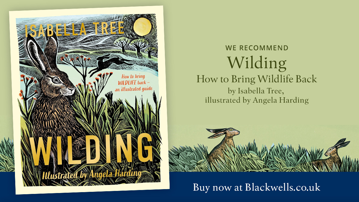 Wilding: How to Bring Wildlife Back - An Illustrated Guide is a stunningly beautiful gift book written by Isabella Tree which tells the story of the Knepp Estate. It is illustrated in full colour with lino prints and watercolours by Angela Harding. blackwells.co.uk/bookshop/produ…