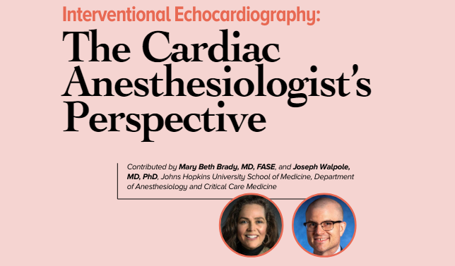 Check out April's issue of ASE Echo Magazine, including the perspective of Dr Brady and Dr Walpole on Interventional Echocardiology. asecho.org/wp-content/upl… @HopkinsACCM @HopkinsACCMCard @ASE360