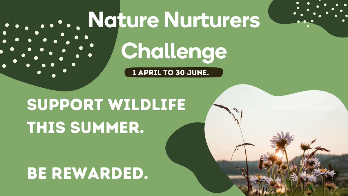 Join us in creating a thriving place for nature and wildlife with Green Rewards' Nature Nurturers Challenge. 🌍

Get involved: notts.greenrewards.co.uk

#ProtectNature #Biodiversity #ProtectWildlife