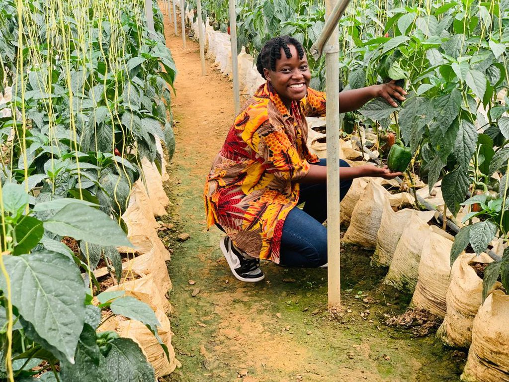 ✨ Exciting news! @UN General Assembly has declared 2026 as the International Year of #WomanFarmer! Led by @FAO, it aims to empower and support women in agrifood systems, promoting gender equality and sustainability. Let's celebrate the vital role of women in #Agrifoodsystems.