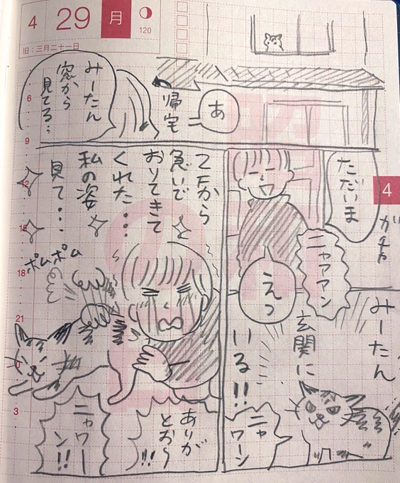 日記 猫ってツンツンしてると思ったけど、とても愛情深い‥そして8年経っても毎日可愛いくて大好きなまま。ネコチャンすごい🐈 