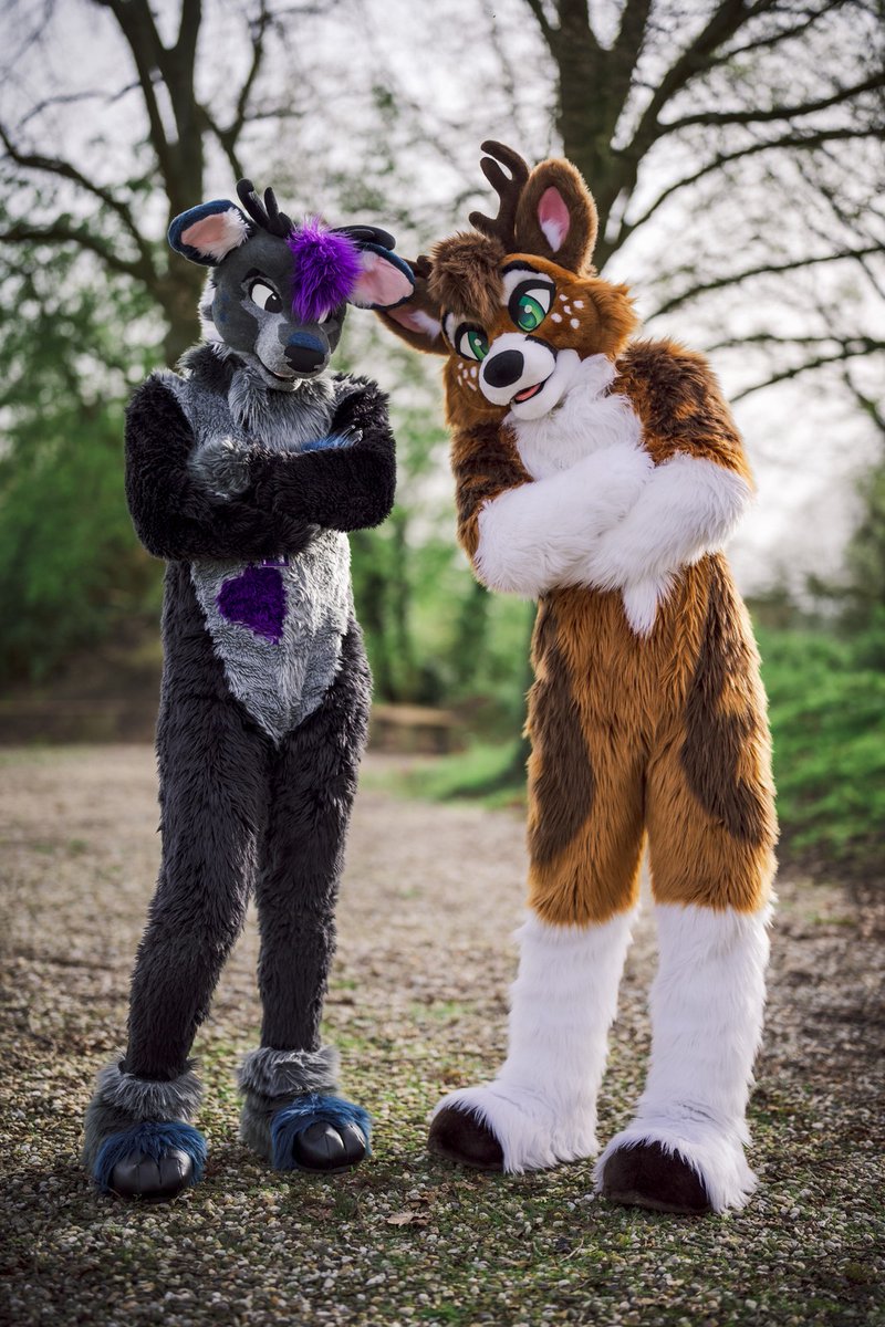 Stop right there citizen! You have to pay the deer toll before continuing #FursuitFriday 🦌 💜 @VutieDeer 📸 @Nighti331