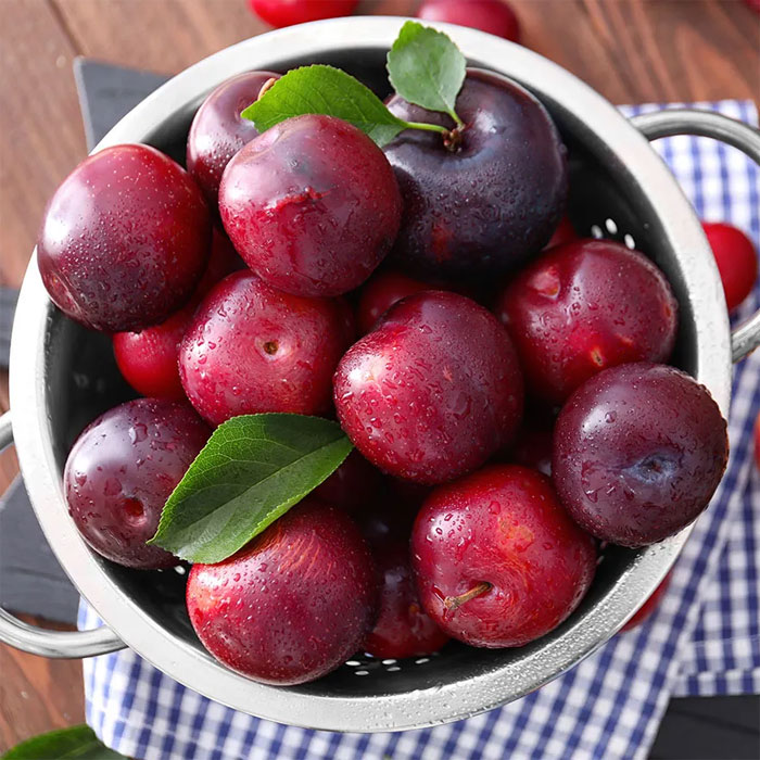 Red #plums are summer's sweet, juicy treat! These vibrant gems boast a uniquely rich flavor and velvety texture. From snacking to baking, plums are incredibly versatile. Plus, they're loaded with nutrients like vitamin C and fiber. Indulge in the luscious goodness of red plums!