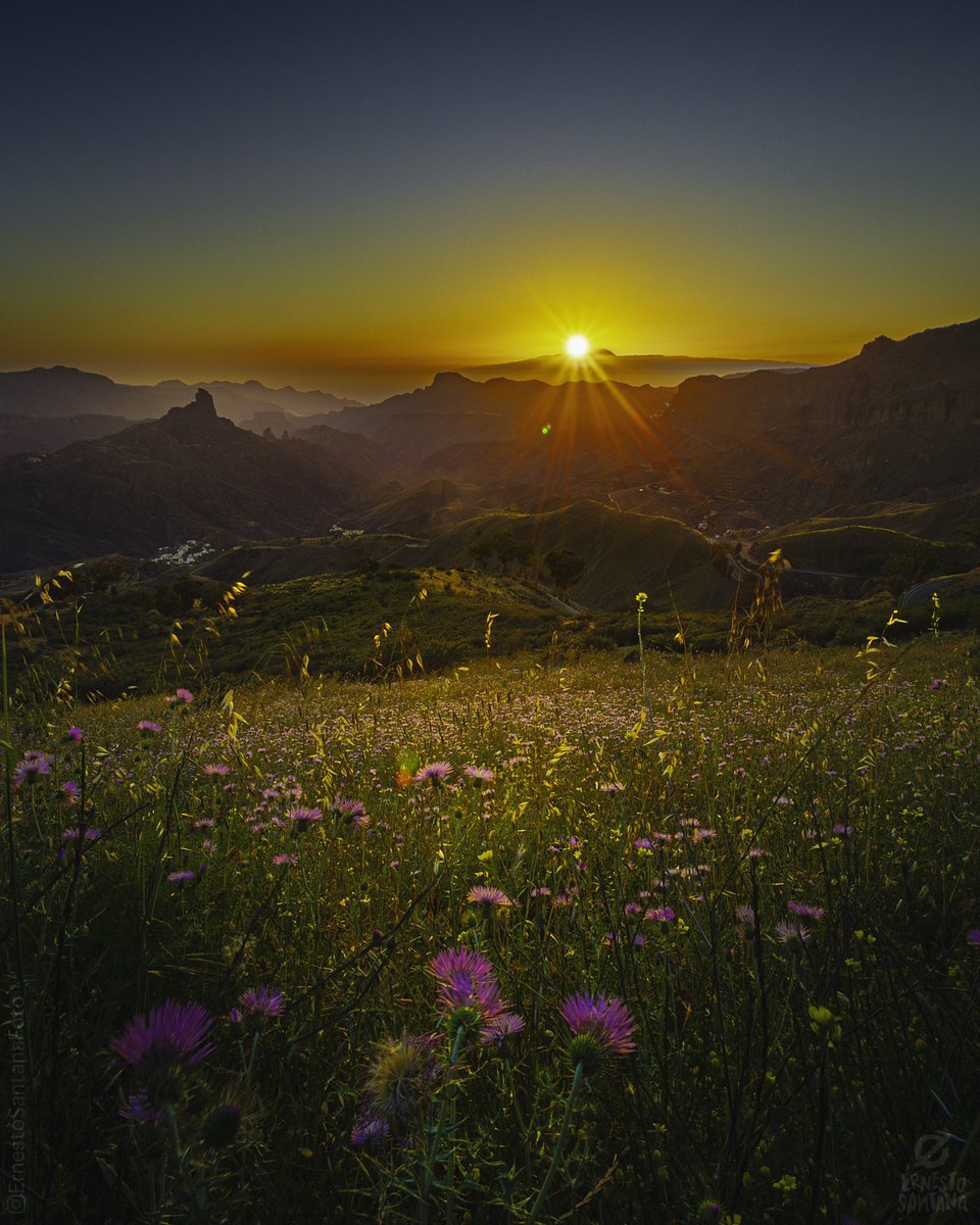 Mayo en Gran Canaria 🤩