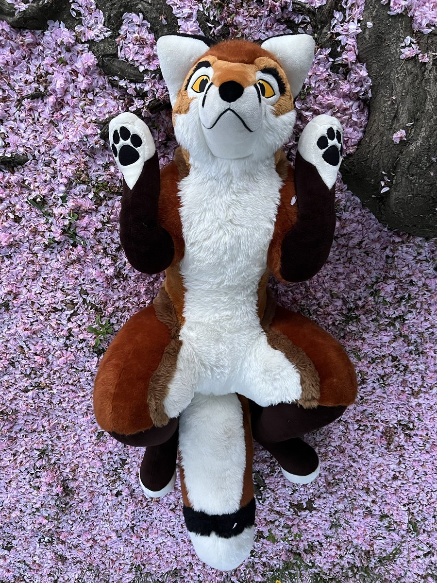Beautiful Cherry Blossom Petals, even when they’ve all fallen down
#cherryblossom #桜 #桜吹雪
<a href="/PlushLife_eu/">PlushLife</a> Red Fox