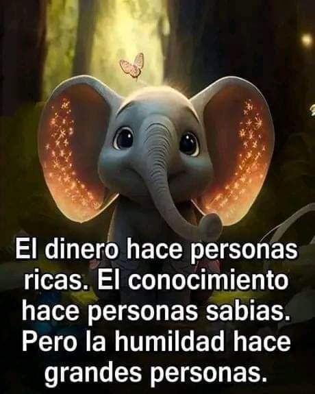 Frases y Reflexiones...